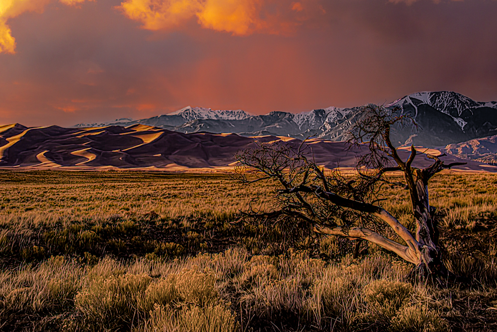 "Desert Majesty at Dusk - Colorado Landscape Photography"