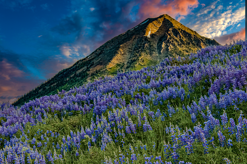 Purple Mountains Majesty - Colorado Landscape Photography