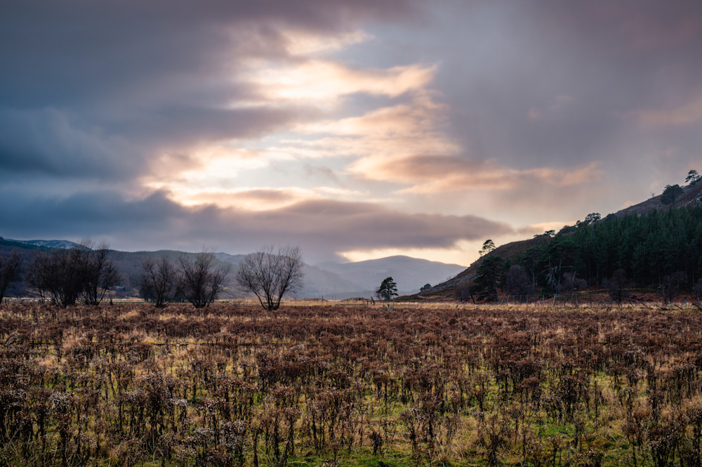 Embracing Winter's Calm Photography Art | Val Miranda Photography