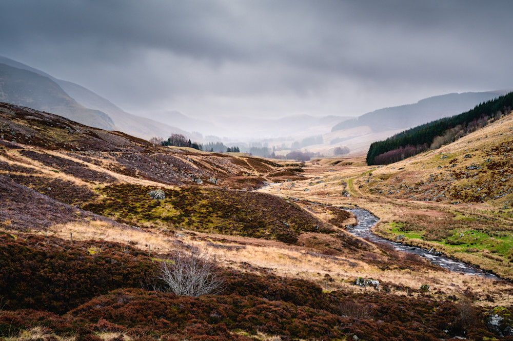 Through A Misty Glen Photography Art | Val Miranda Photography