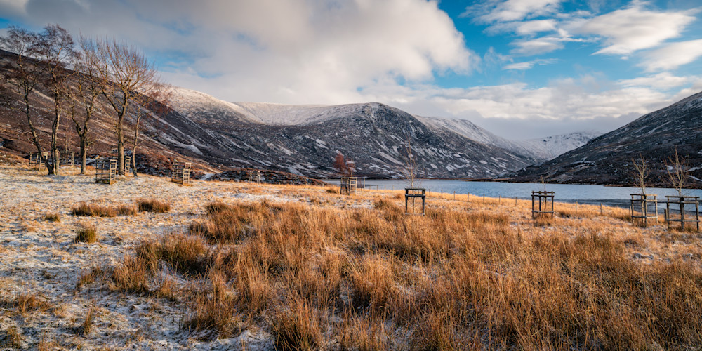 In The Heart Of Winter Photography Art | Val Miranda Photography