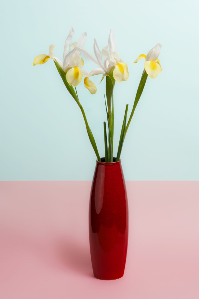 Yellow Irises Two Tone Version Photography Art | Lester Blair Gallery