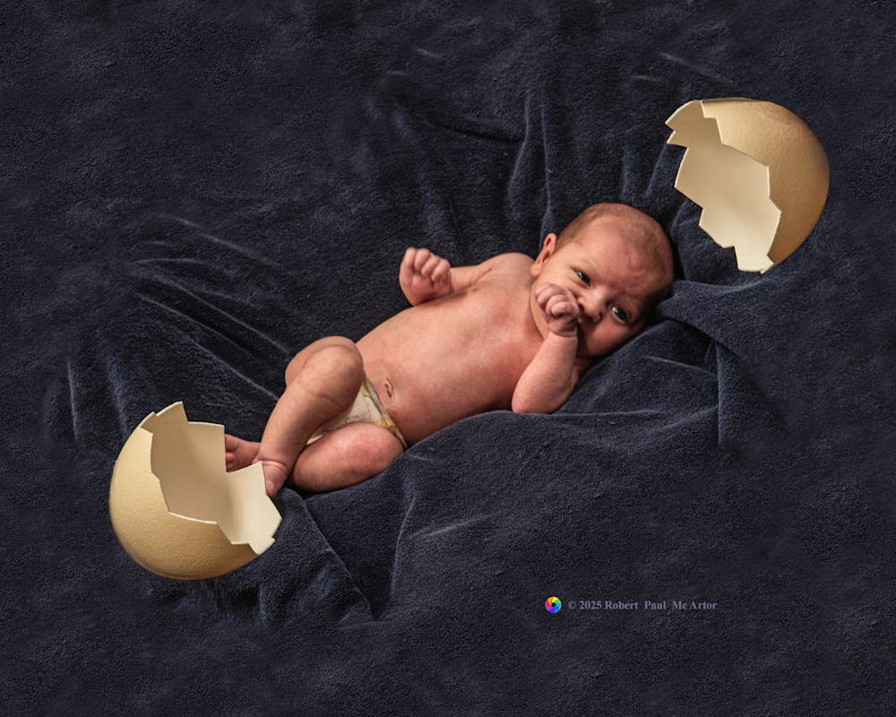 Just Hatched   39942 Rotated 8x10 Photography Art | Mc Artor Photo Imagery