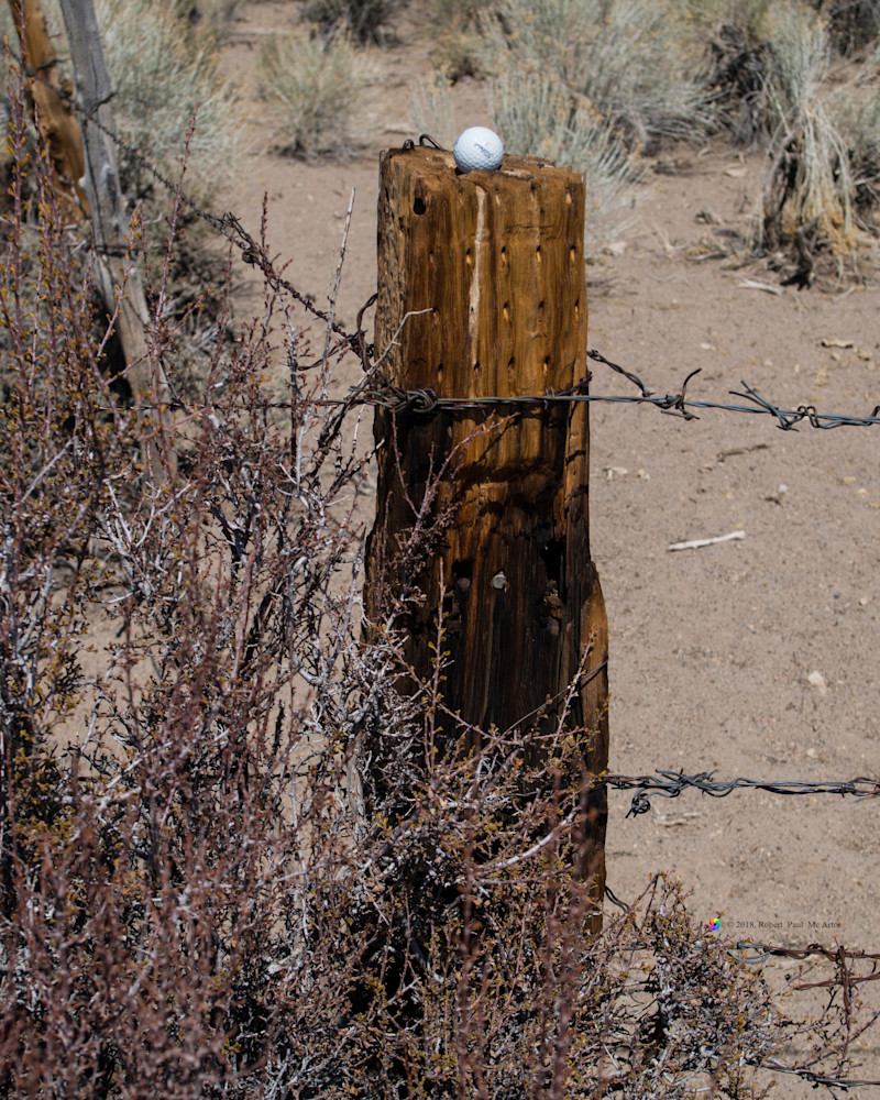Play It Where It Lies   15296 8x10 Crop Photography Art | Mc Artor Photo Imagery
