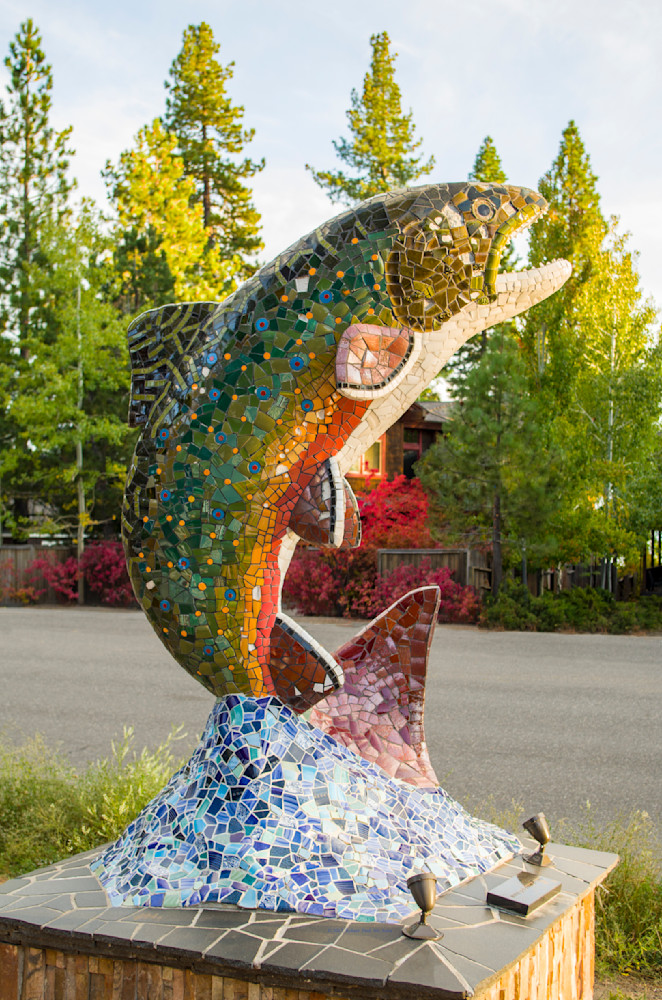 Rainbow Mosaic I   14494 Photography Art | Mc Artor Photo Imagery