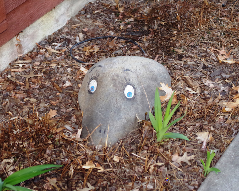 Rock Ness Monster   8139 Photography Art | Mc Artor Photo Imagery