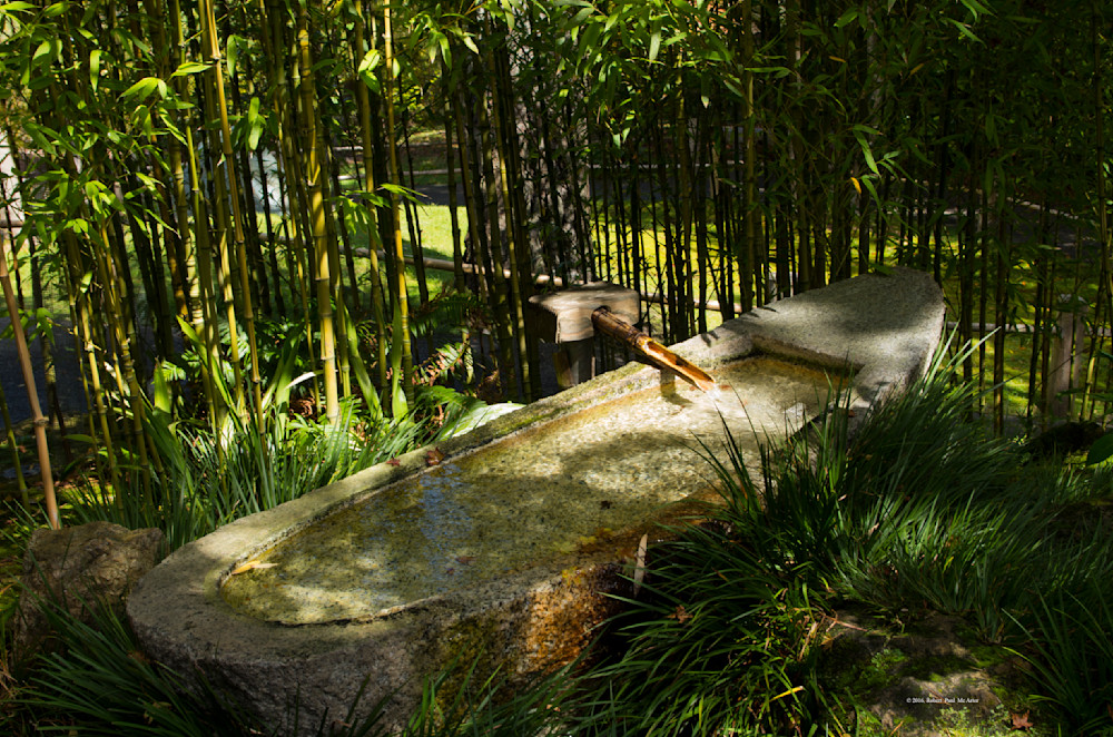 Water Boat  11245 Photography Art | Mc Artor Photo Imagery