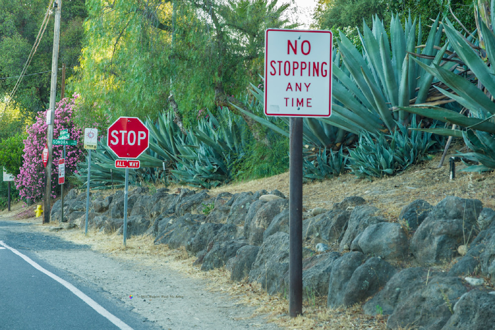 What Now   14730 Photography Art | Mc Artor Photo Imagery