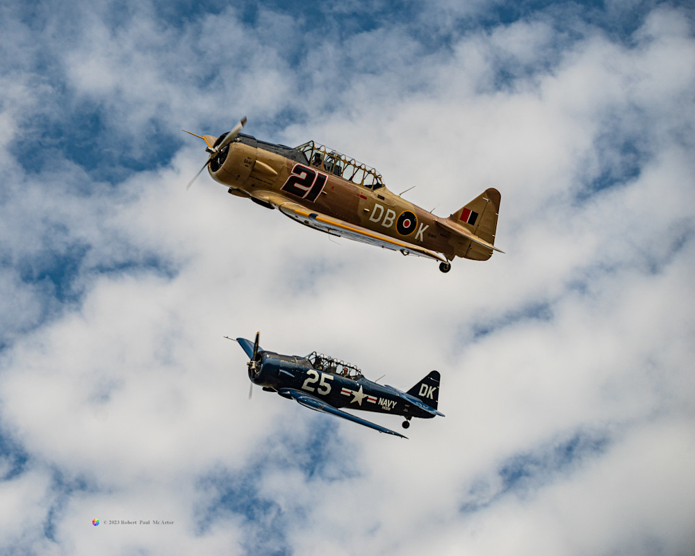 Brit And Navy Texans   32204 Photography Art | Mc Artor Photo Imagery