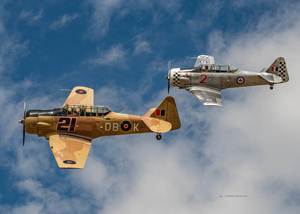 English Allies   32313 Photography Art | Mc Artor Photo Imagery