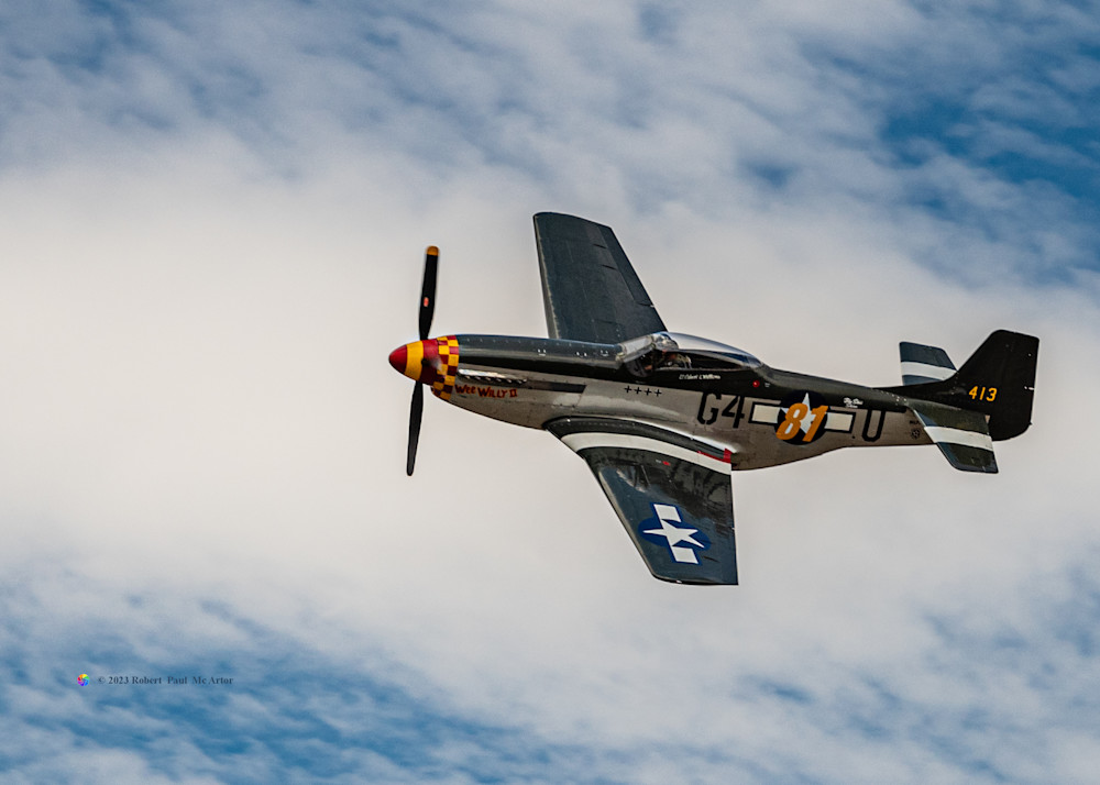 Mustang   32469 Photography Art | Mc Artor Photo Imagery