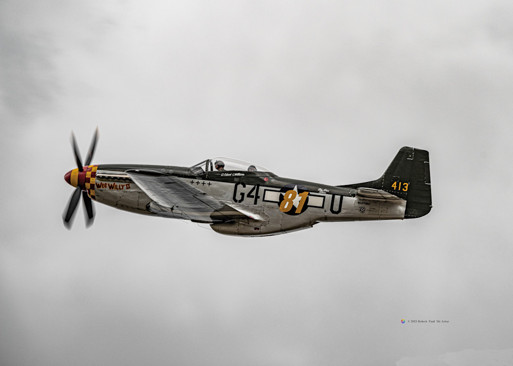 Mustang Wee Willy Ii   31803 Photography Art | Mc Artor Photo Imagery