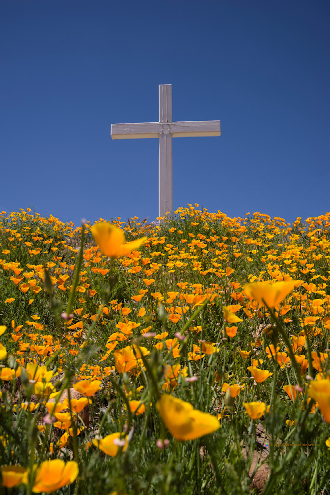 Cross And Poppies   1941 Photography Art | Mc Artor Photo Imagery