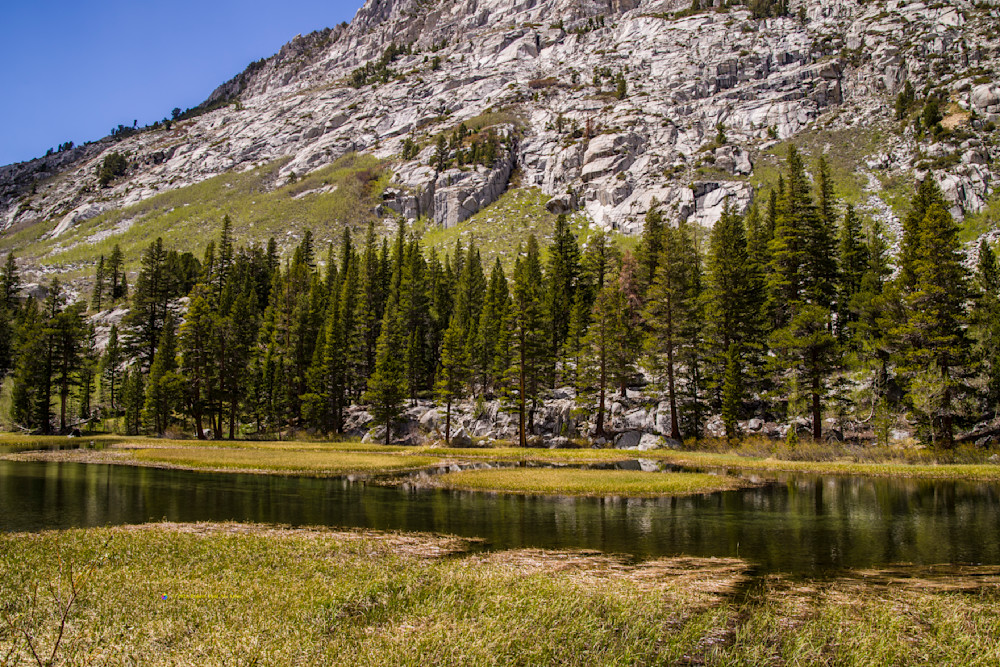 Mountain Meadow And Pond   13769 Photography Art | Mc Artor Photo Imagery