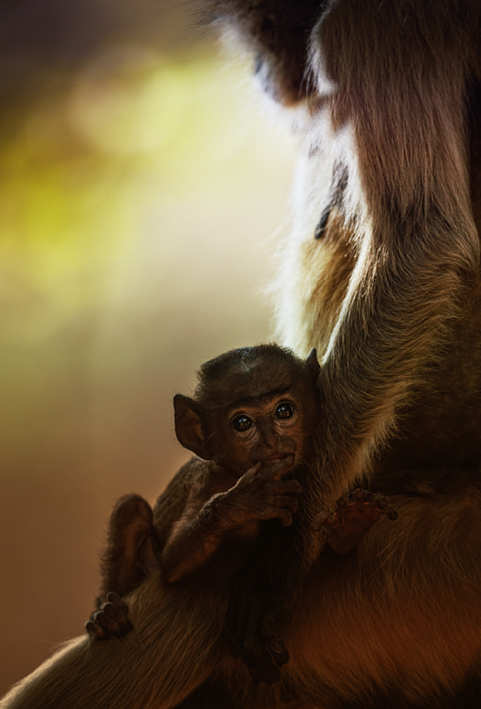 Trust And Discovery Photography Art | Husein Latif