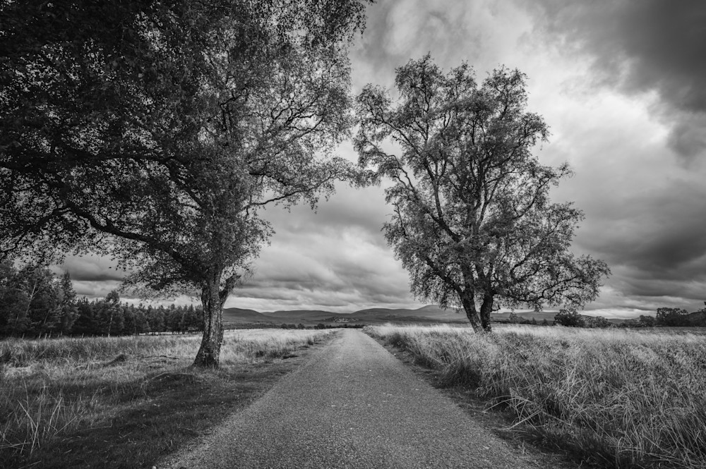 Sentinels Of The Path Photography Art | Val Miranda Photography