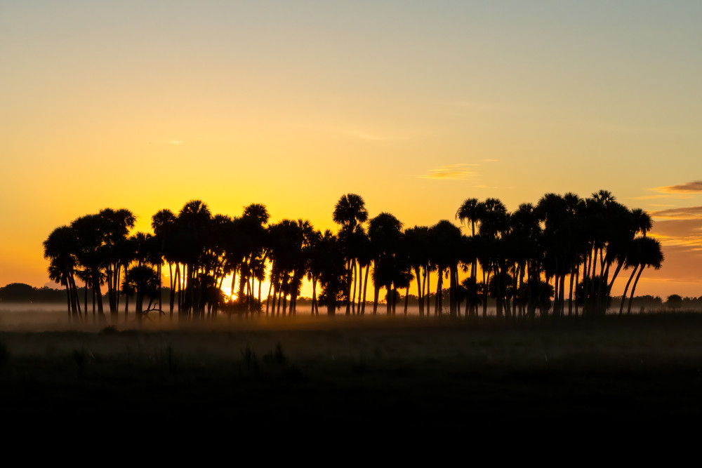 Okeechobee Sunrise Photography Art | Jamey Binneveld Photography