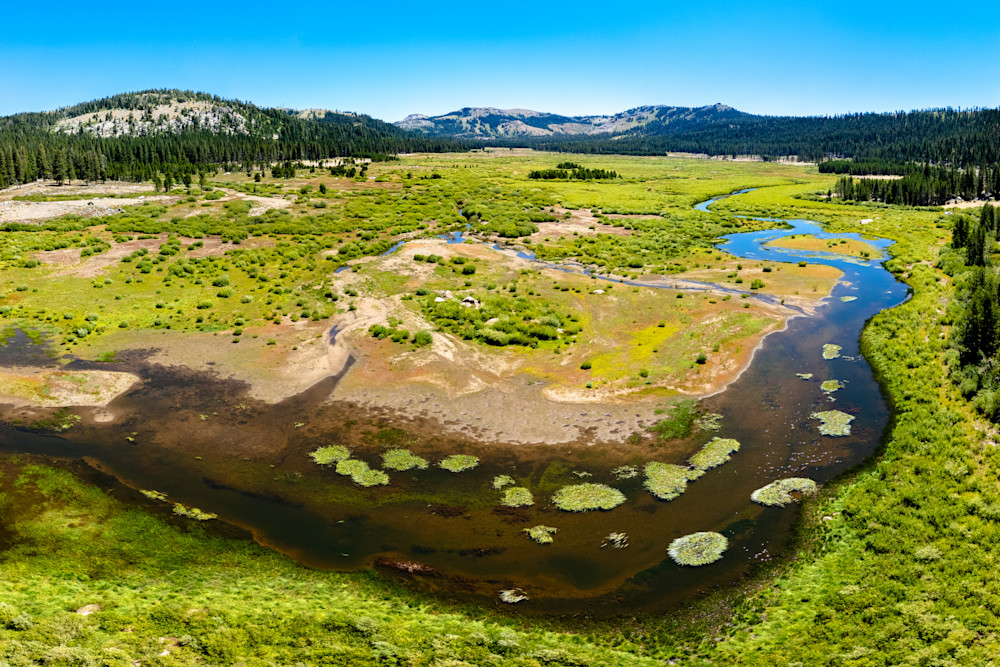 Van Norden Meadow 1