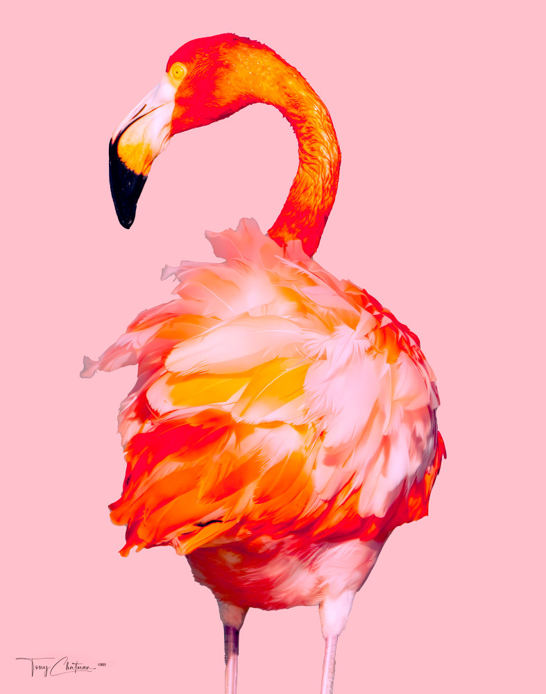 Art Deco Pink Flamingo Art | Fiovida Studio & Art Gallery