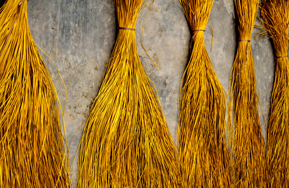 Drying Coloured Straw Photography Art | Images by Simon