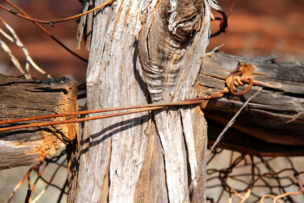 Old Fence Post With Wire Photography Art | Images by Simon