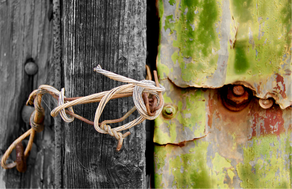 Wired Photography Art | Images by Simon