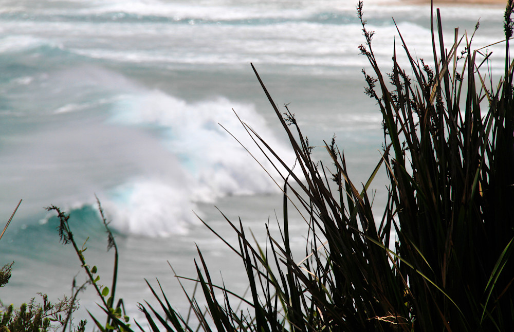 Beach Break Through The Grasses   Augusta Photography Art | Images by Simon