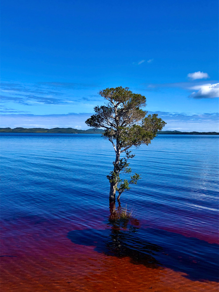 Broke Inlet Photography Art | Images by Simon