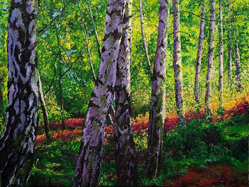 Birches In Sumer Art | Bill Sarnowski Fine Art
