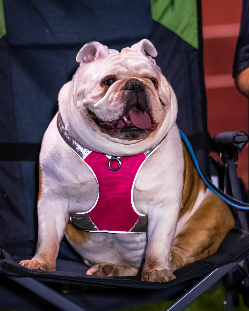 Dsc9543 Copy Photography Art | Bryce Giesmann Fine Arts