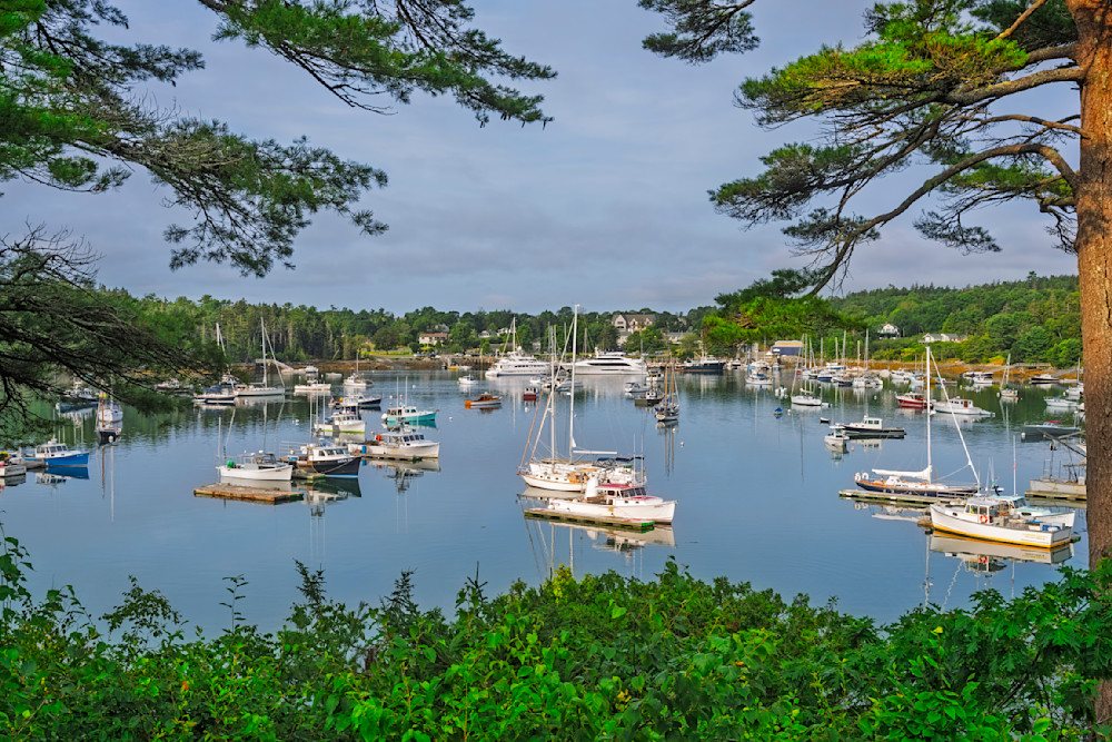 Northwest Harbor - Tranquil Maine Landscape Photography