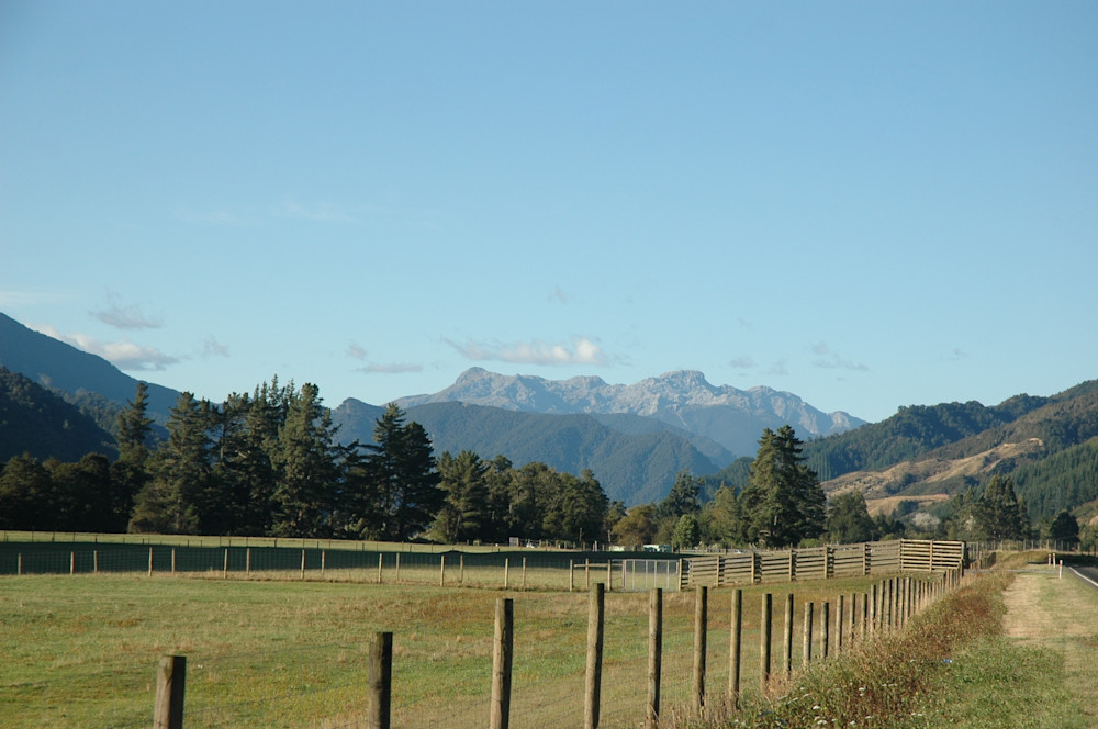 Nz Pastures Photography Art | Floegel Artworks