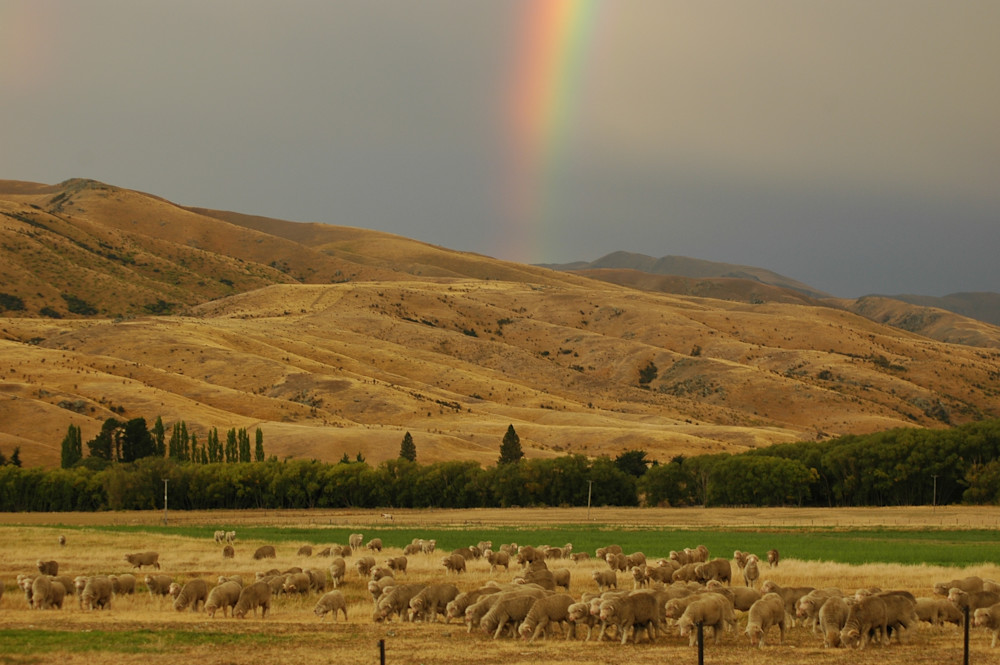 Nz Pot Of Gold Photography Art | Floegel Artworks