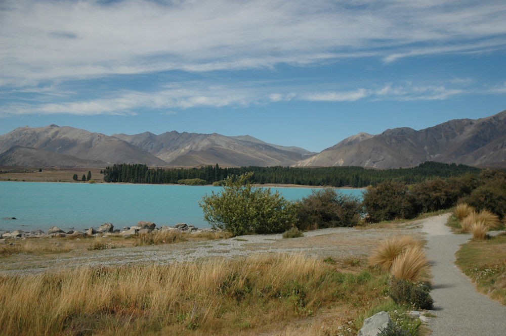 Path Around Blue Lake Nz Photography Art | Floegel Artworks