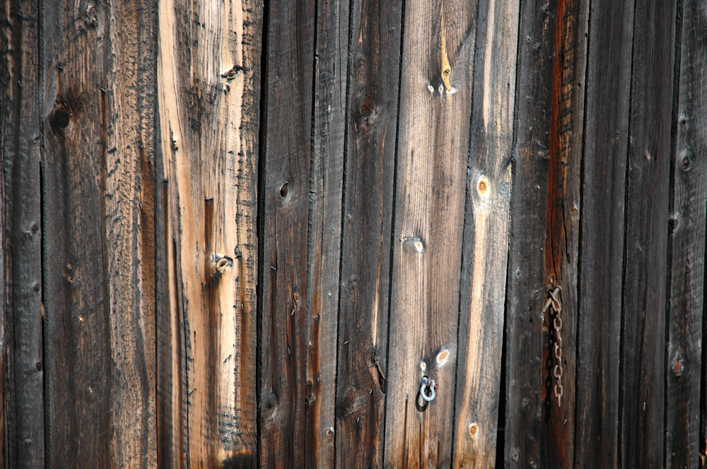 Patterns Of Wood Photography Art | Floegel Artworks