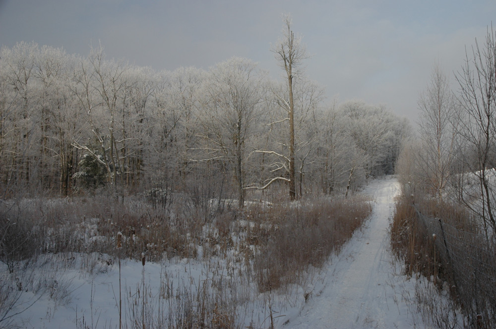Snowy Path Photography Art | Floegel Artworks