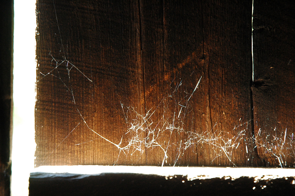 Spider Webs In Barn Photography Art | Floegel Artworks