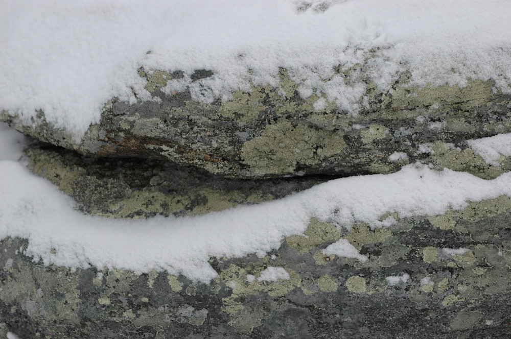 Winter Dragon Photography Art | Floegel Artworks