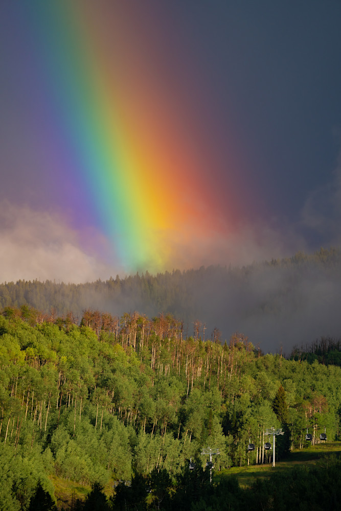 Where the Rainbow Falls – Aspen Forest with Rainbow Fine Art Print