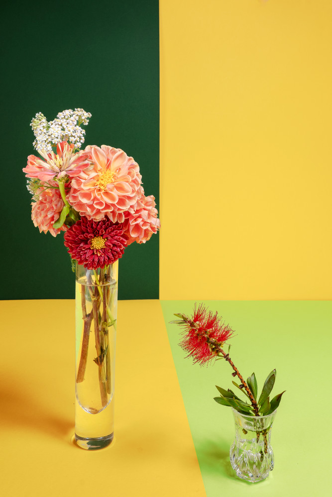 Dahlias On Green & Yellow Photography Art | Lester Blair Gallery