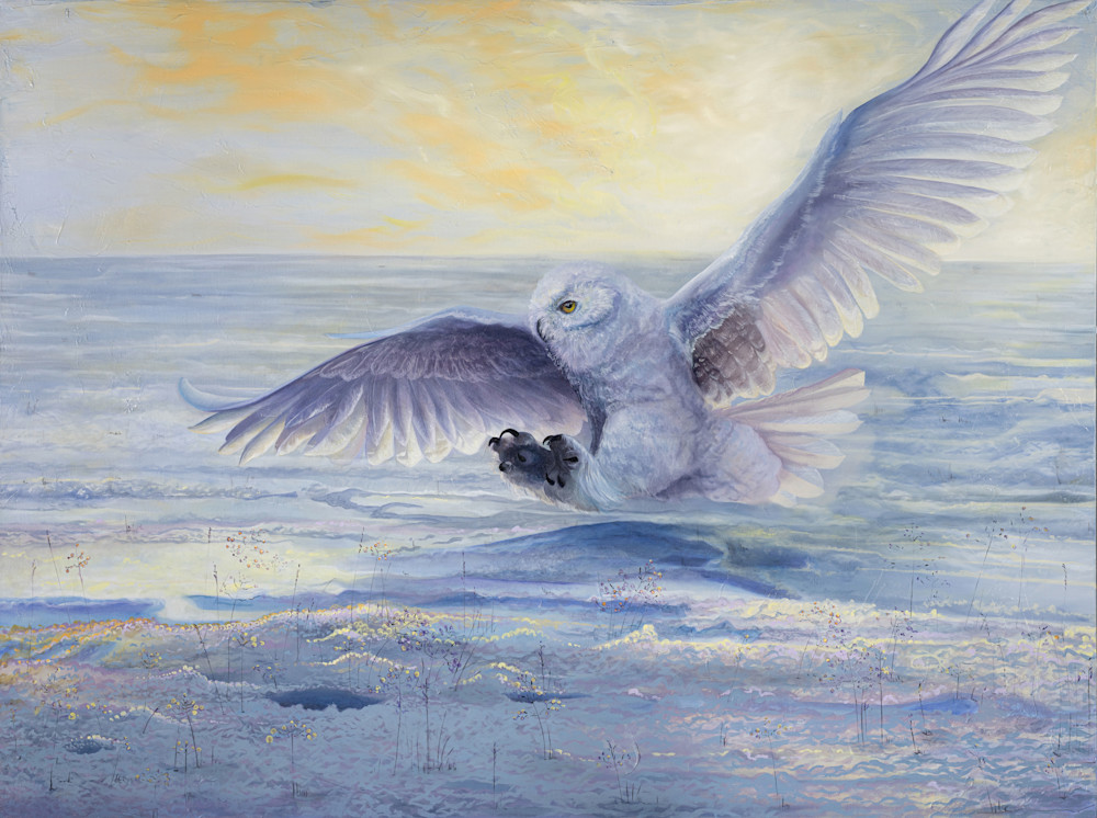 Snowy Owl Open Edition Art Print – Silent Breath of Pursuit
