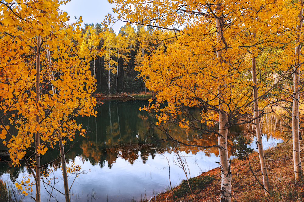 Autumn Reflections - Serene Colorado Landscape Photography
