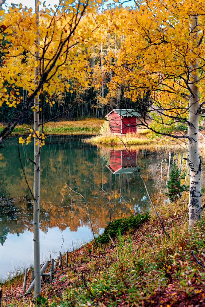 Golden Reflections - Serene Colorado Landscape Photography
