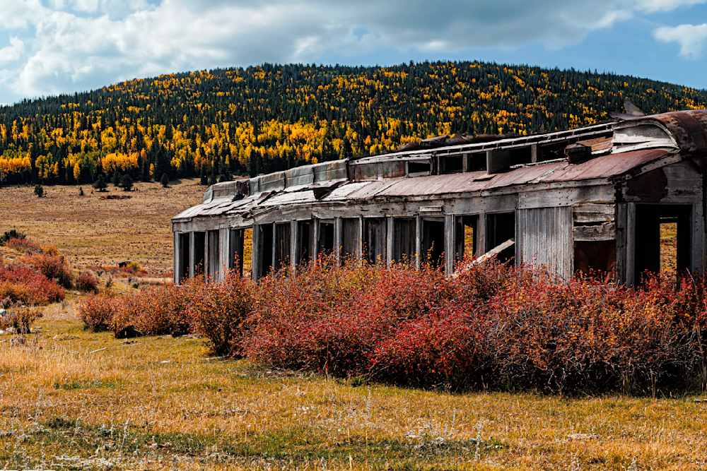 End of the Line - Captivating Autumn Landscape Photography
