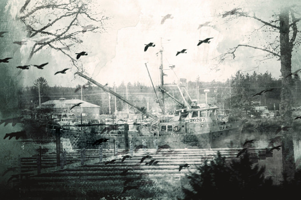 Harbor Collage
