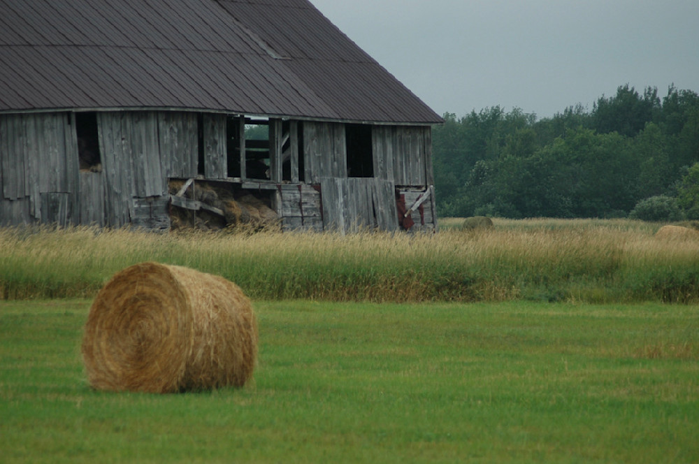Parry Sound Farm Photography Art | Floegel Artworks