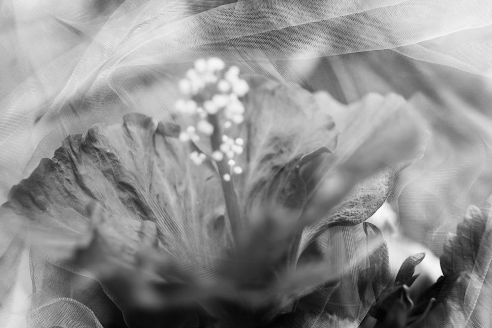 Dreamy Flower Art