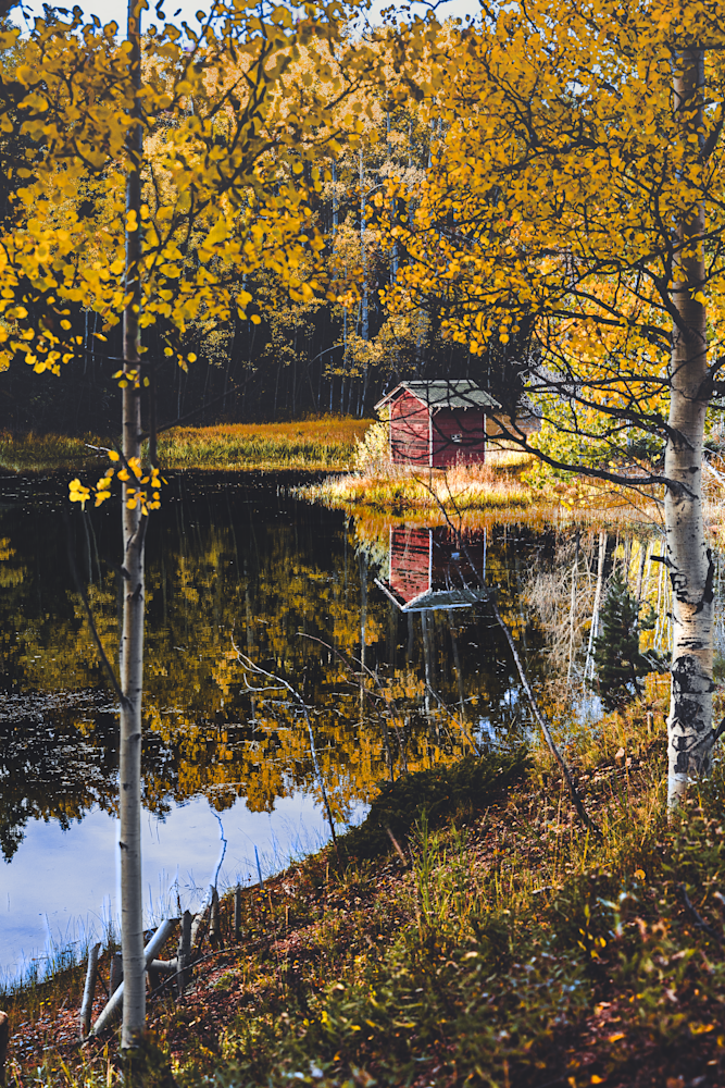 Autumn Reflections - Serene Colorado Landscape Photography