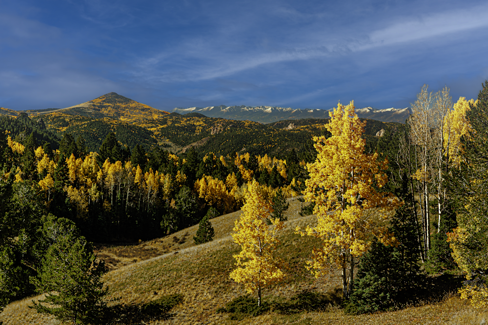 Autumn's Embrace - Colorado Fall Landscape Photography