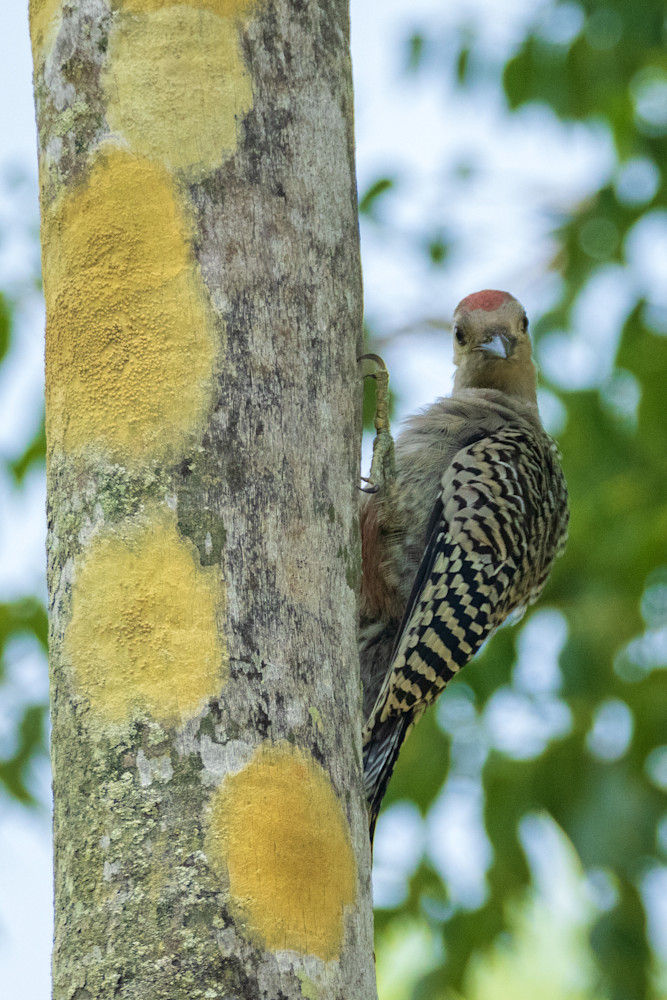 S00 A3099 1 Photography Art | Captured Adventure Photography